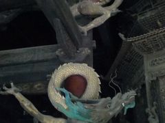 -报恩寺(平武县)