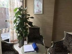 -成都伊贝丝美容美胸SPA会所
