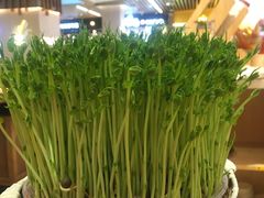 -好彩猪肚鸡(正弘城店)