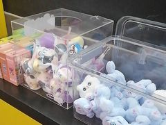 -203密室体验馆·逃脱·聚会·亲子(工体店)