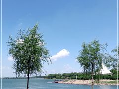 -丁香湖公园