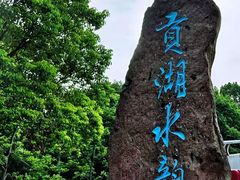 -贡湖湾湿地公园
