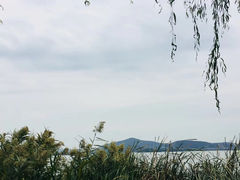 -蠡湖大桥公园