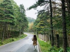 -洛阳白云山景区