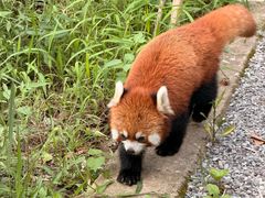 -宁波野生动物园