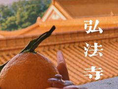 -深圳市中科院仙湖植物园