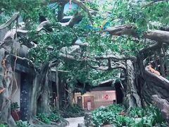 -碧桂园总部大楼