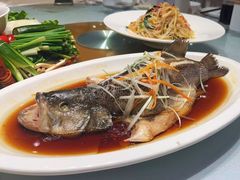 -凯鸽酒楼(操场城店)