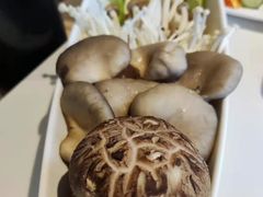 -海底捞火锅(威高广场店)