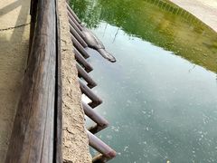 -杭州野生动物世界