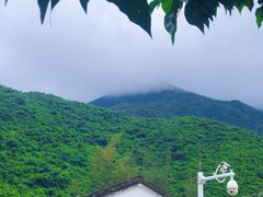 景点-杨梅坑