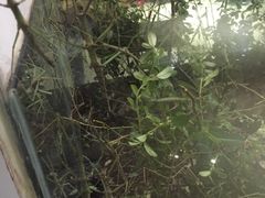 -上海昆虫博物馆