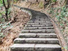 -火炉山森林公园
