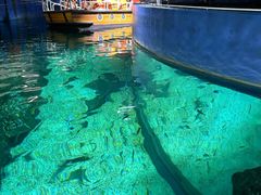 -暹罗海洋世界
