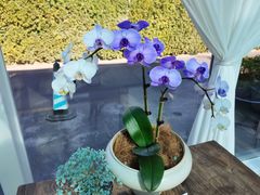 -BLUE HOUSE咖啡