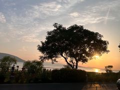 -美味之家·湖景农家乐(太湖东山店)