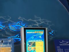 -烟台海昌鲸鲨海洋公园