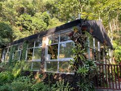 -深圳仙湖植物园