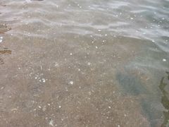 -金沙滩海水浴场(万平口景区4号门扬帆广场店)