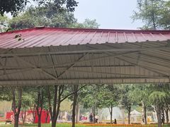 -洛阳郁金香牡丹园