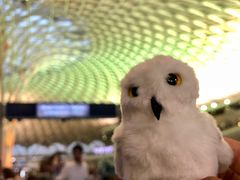 -九又四分之三站台