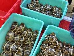 -蟹天蟹地农家菜·阳澄湖大闸蟹(浅水湾店)