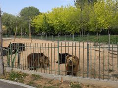 -秦皇岛野生动物园