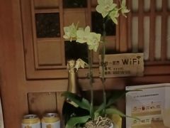 -一叶一世界•素食餐厅(环球中心店)