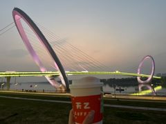 -南京眼步行桥