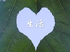 -御林古桑园