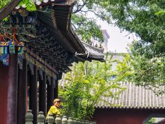 -护国法轮寺