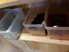 -驴世家驴肉火烧·凉皮·胡辣汤(五道口店)