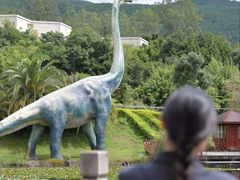 -世界恐龙谷景区