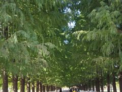 -嘉北郊野公园