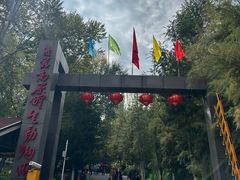 -青藏高原野生动物园