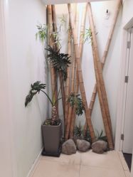 -苗方清颜·祛痘皮肤管理