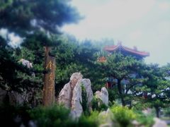 -钓鱼台国宾馆