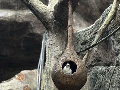 -长鹿旅游休博园