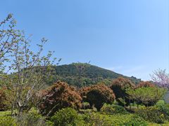 -南京市江宁方山