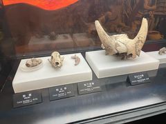 -河姆渡遗址博物馆
