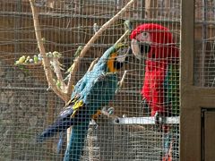 -南宫五洲植物乐园