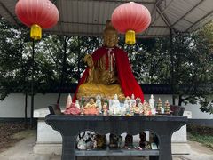 -上海佘山国家森林公园天马山园