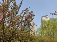-海棠花溪(元大都城垣遗址公园)