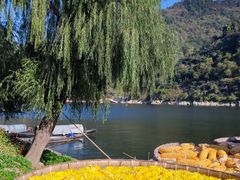 -新安江山水画廊风景区