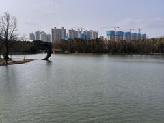 -昆山城市生态森林公园