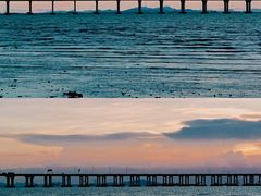 -宝安西湾红树林湿地公园