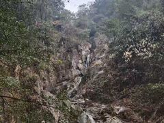 -九龙江国家森林公园