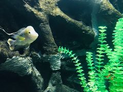 -苏州海洋馆