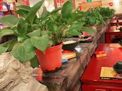 -谭鸭血(金华永盛店)