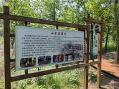 -微山湖红荷湿地景区